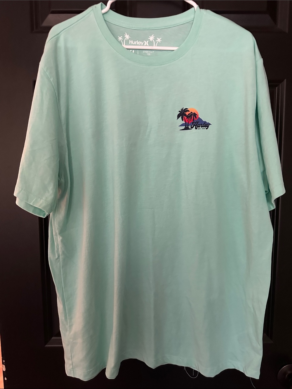 Hurley Men's Mint Green Short Sleeve Graphic Tee